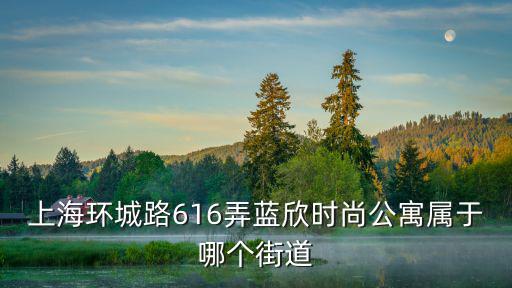 上海环城路616弄蓝欣时尚公寓属于哪个街道