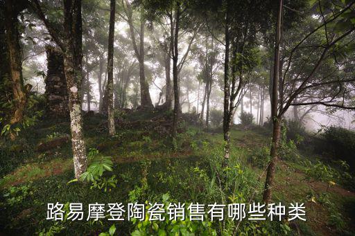 路易摩登陶瓷销售有哪些种类