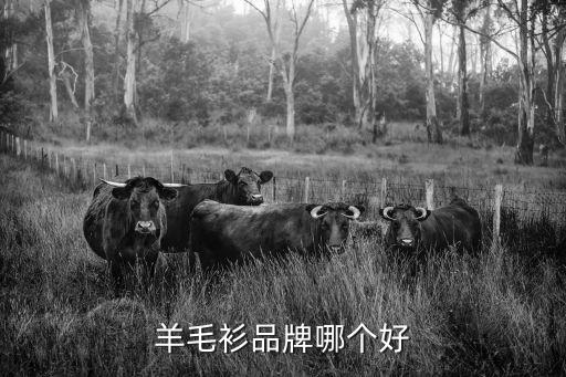 羊毛衫品牌哪个好