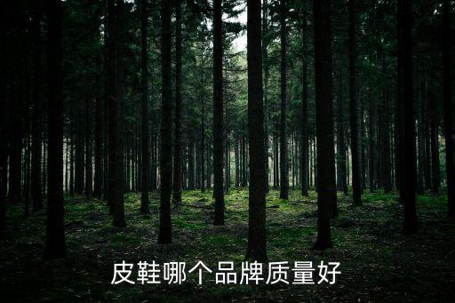 皮鞋哪个品牌质量好