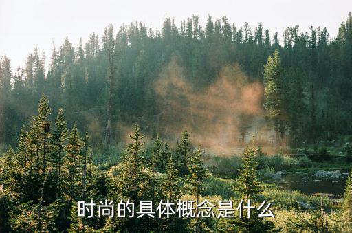 什么是时尚  英文介绍，时尚的具体概念是什么
