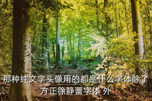 那种纯文字头像用的都是什么字体除了方正徐静蕾字体 外