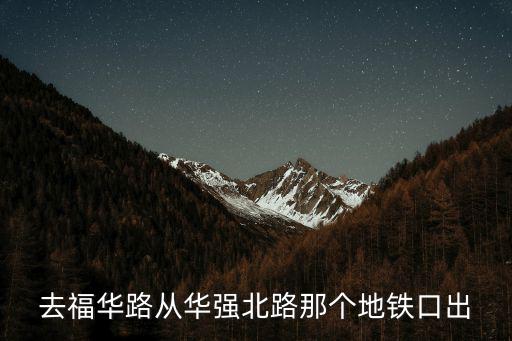 去福华路从华强北路那个地铁口出
