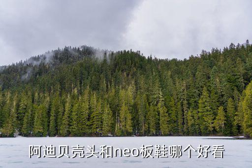 阿迪贝壳头和neo板鞋哪个好看