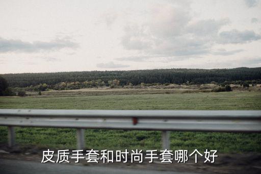 皮质手套和时尚手套哪个好
