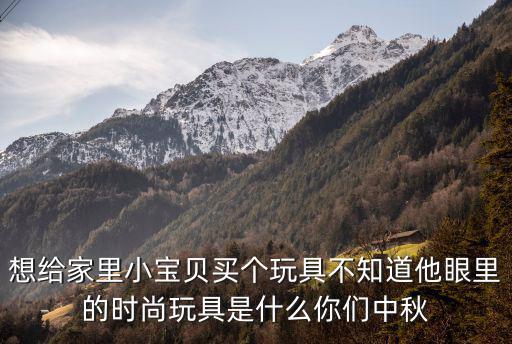 想给家里小宝贝买个玩具不知道他眼里的时尚玩具是什么你们中秋