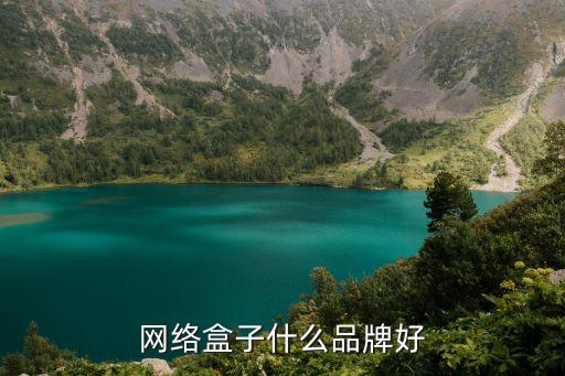 网络盒子什么品牌好