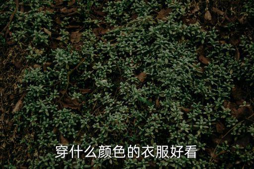 穿什么颜色的衣服好看