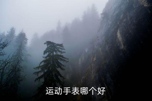 运动手表哪个好