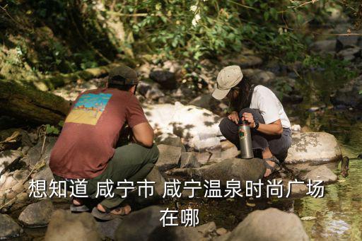 想知道 咸宁市 咸宁温泉时尚广场 在哪