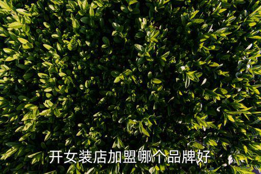 快时尚女装加盟哪个好，女装加盟哪个品牌好