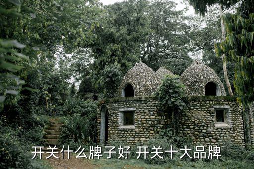 开关什么牌子好 开关十大品牌