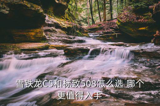 c5和508哪个时尚，标志508和雪铁龙C5哪个好