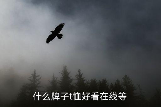 什么牌子t恤好看在线等