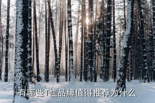 有哪些T恤品牌值得推荐为什么