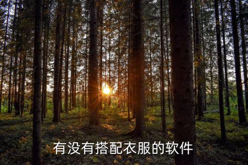 有没有搭配衣服的软件