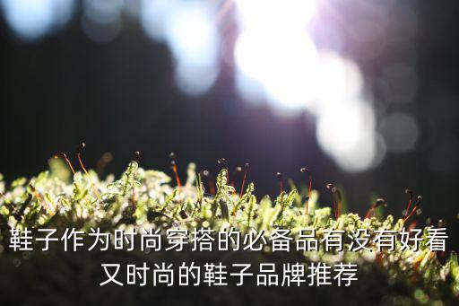 鞋子作为时尚穿搭的必备品有没有好看又时尚的鞋子品牌推荐