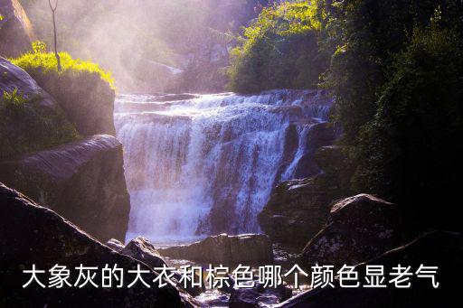 大衣灰色和棕色哪个更时尚，大衣灰色跟冷棕色哪个好看