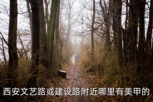 西安时尚美甲在哪个区，西安文艺路或建设路附近哪里有美甲的