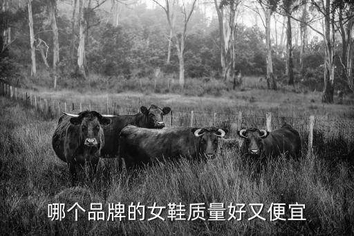 哪个牌子的女鞋子时尚，哪个品牌的女鞋质量好又便宜