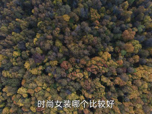 哪个品牌女装质量好时尚，时尚女装哪个比较好