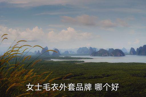 女士毛衣外套品牌 哪个好