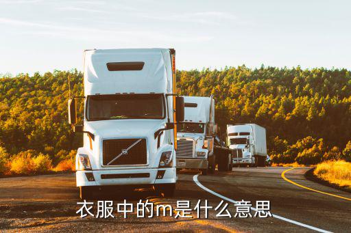 衣服中的m是什么意思