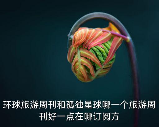 环球旅游周刊和孤独星球哪一个旅游周刊好一点在哪订阅方
