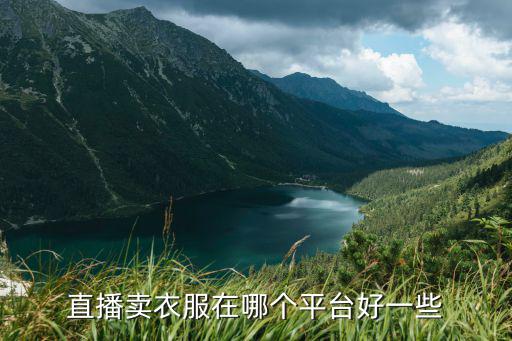 直播卖衣服在哪个平台好一些