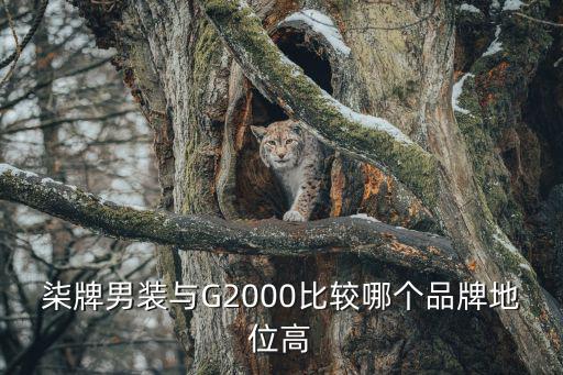 柒牌时尚服装是哪个公司，劲霸 柒牌 七匹狼具体的哪的