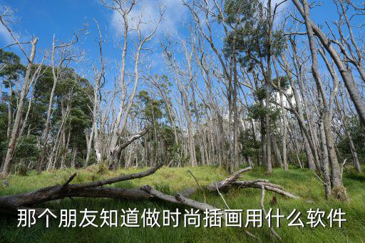 那个朋友知道做时尚插画用什么软件