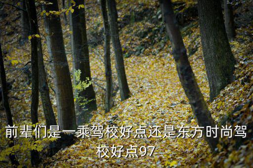 前辈们是一乘驾校好点还是东方时尚驾校好点97