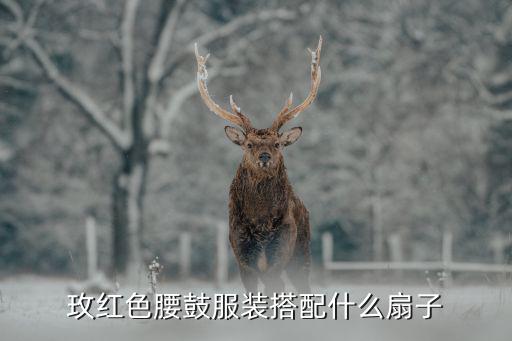 玫红色腰鼓服装搭配什么扇子