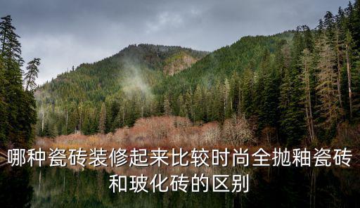 哪种瓷砖装修起来比较时尚全抛釉瓷砖和玻化砖的区别