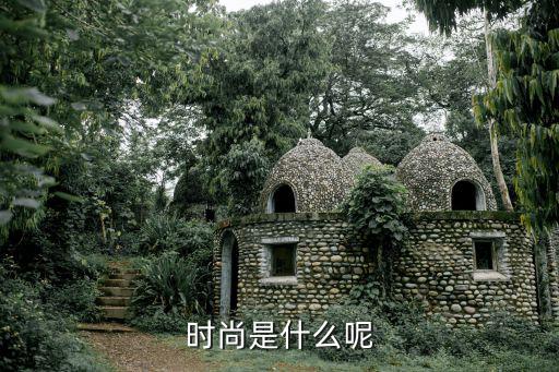 时尚是什么呢