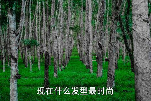 现在什么发型最时尚