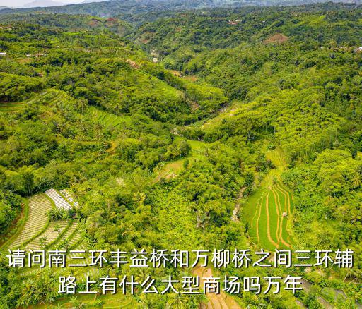 请问南三环丰益桥和万柳桥之间三环辅路上有什么大型商场吗万年
