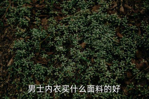 时尚男装哪个面料比较好，男士衬衣什么面料较好