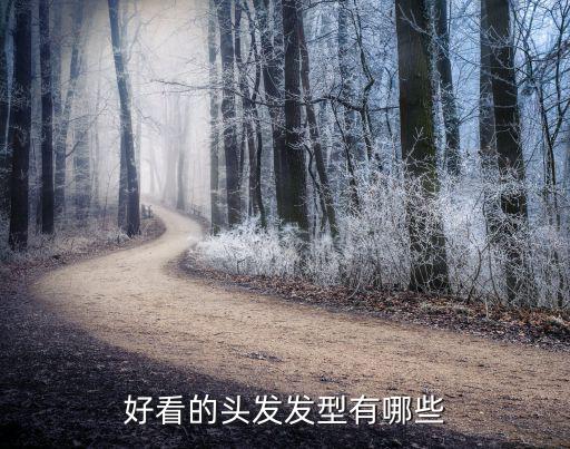 好看的头发发型有哪些