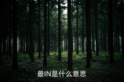 最in时尚什么意识，日常生活中常说的最ININ是什么意思