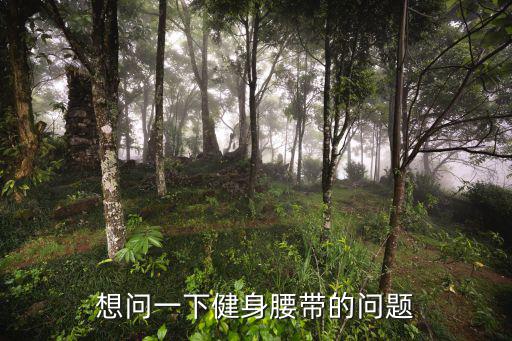 时尚运动腰带指什么，腰带什么意思啊