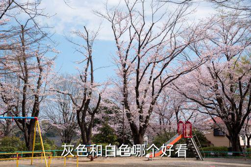 灰色和白色哪个好看