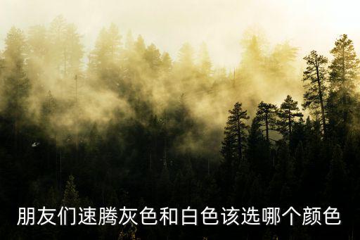 朋友们速腾灰色和白色该选哪个颜色