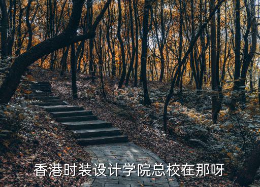 香港时尚设计学院在哪个区，香港时装设计学院总校在那呀
