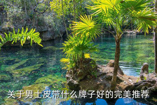 关于男士皮带什么牌子好的完美推荐