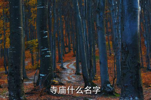 寺庙什么名字
