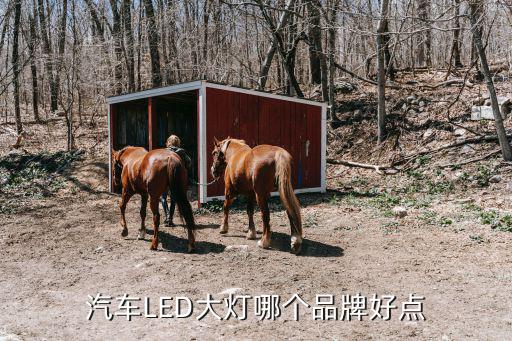 led大灯时尚版换哪个好，蒙迪欧时尚版想改灯换氙气大灯好还是LED好