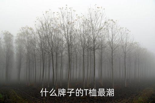 什么牌子的T桖最潮