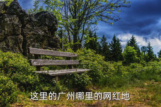 这里的广州哪里的网红地