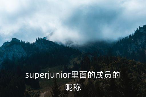时尚担当什么意思，nine percent解散了9个成员当中谁是时尚担当